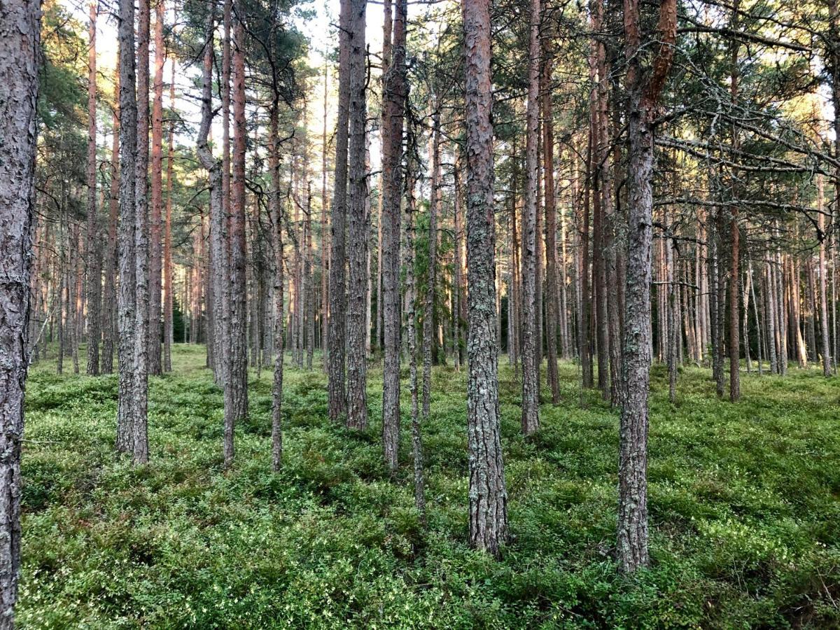 Villa Veela Metsamaja Noarootsi Esterno foto