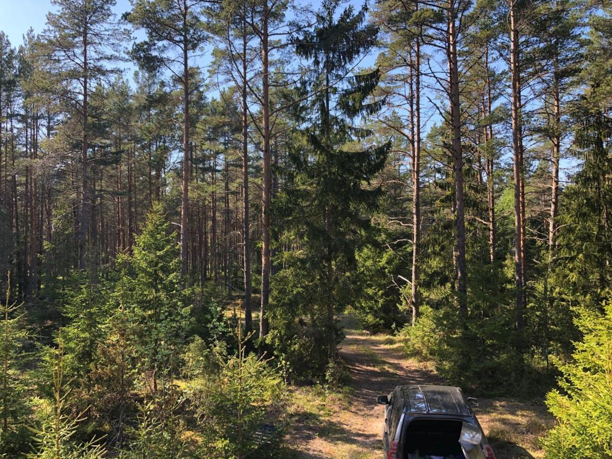 Villa Veela Metsamaja Noarootsi Esterno foto
